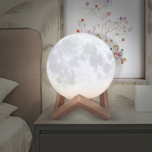 Oakleigh Home Florianus 3D LED Moon Light with Touch Sensor The